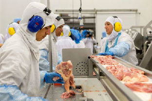 英媒 香港解除巴西肉类进口禁令 欧盟 丑闻还未结束 6